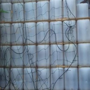 Vegetable Palm Oil (3)