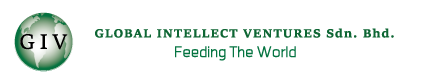 Global Intellect Ventures Sdn. Bhd.